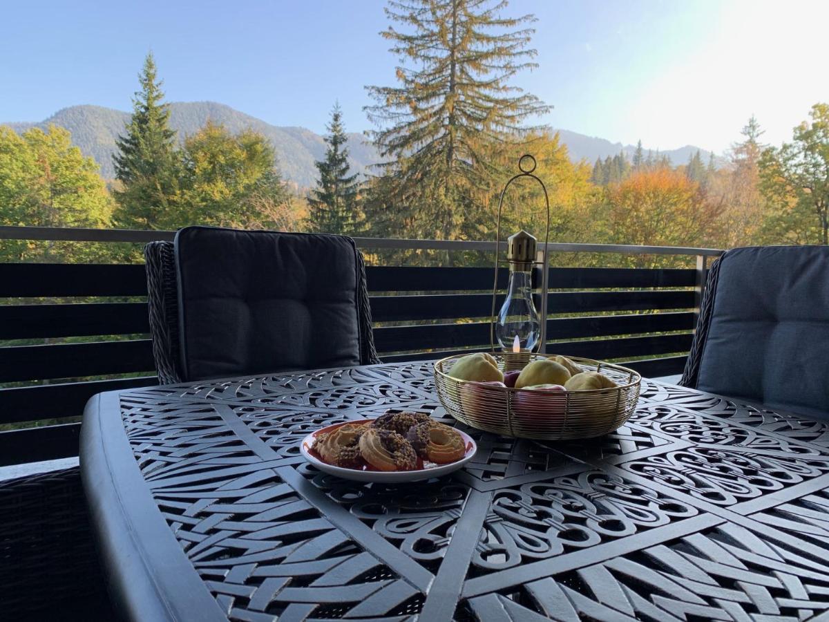 Edelweiss Apartments Silver Resort 波亚纳布拉索夫 外观 照片