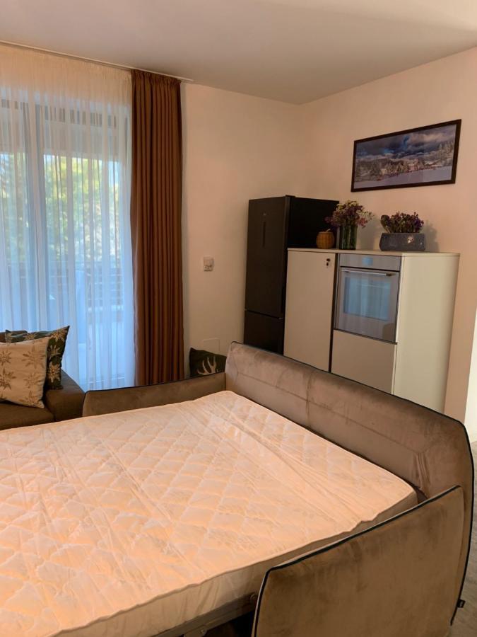 Edelweiss Apartments Silver Resort 波亚纳布拉索夫 外观 照片