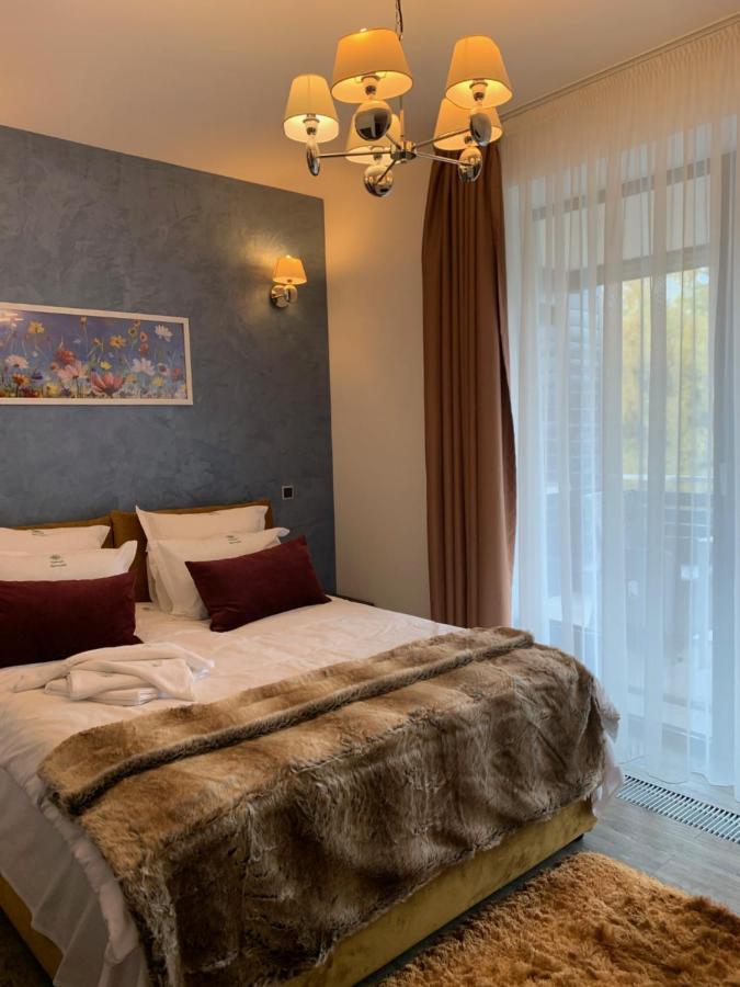 Edelweiss Apartments Silver Resort 波亚纳布拉索夫 外观 照片
