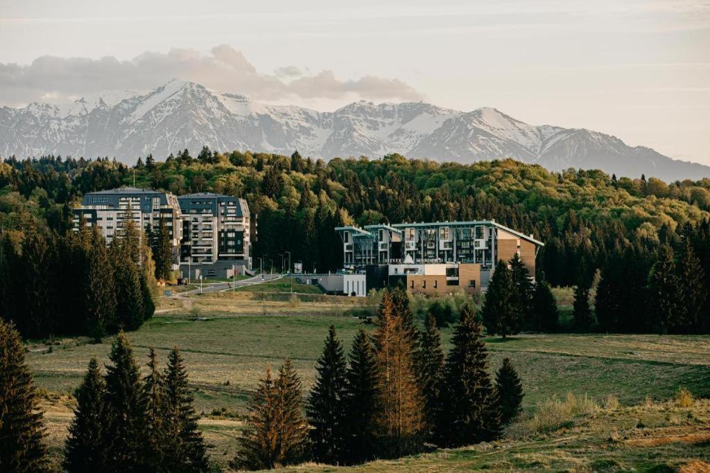 Edelweiss Apartments Silver Resort 波亚纳布拉索夫 外观 照片